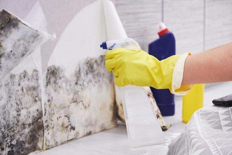 Mold Remediation: Protecting Your Home and Health